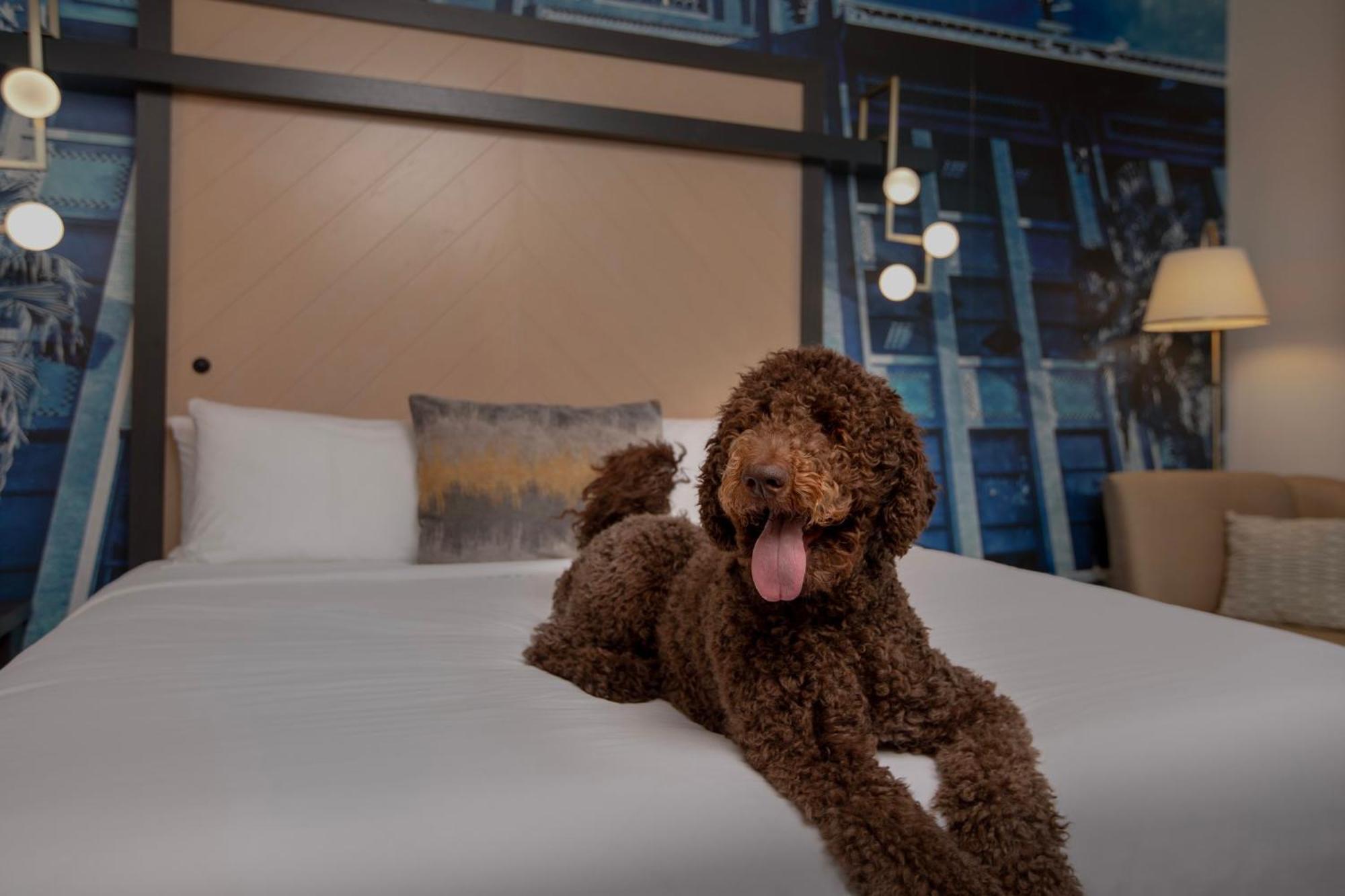 Hotel Indigo Jacksonville-Deerwood Park By Ihg Екстериор снимка